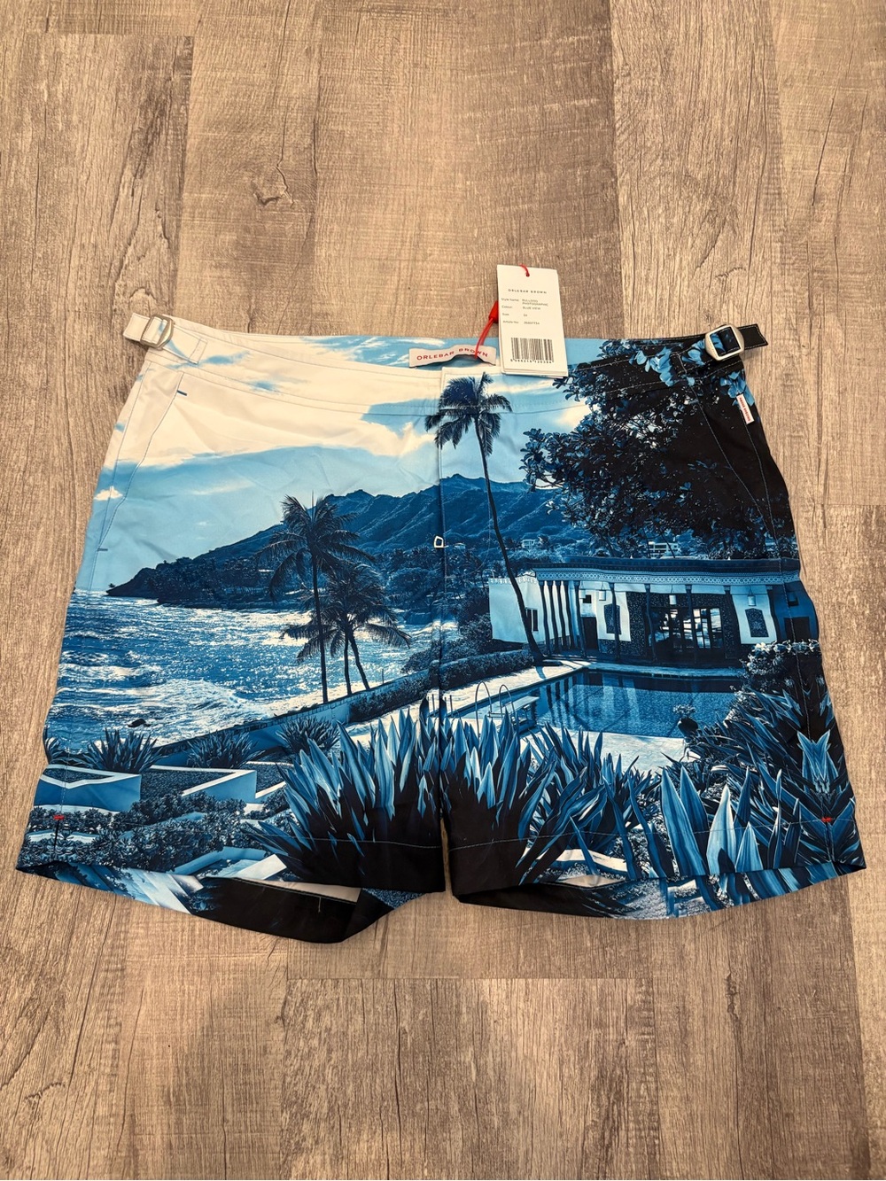 Orlebar Brown Bulldog Blue View Photographic Swim Shorts Trunks Sz 34 NWT